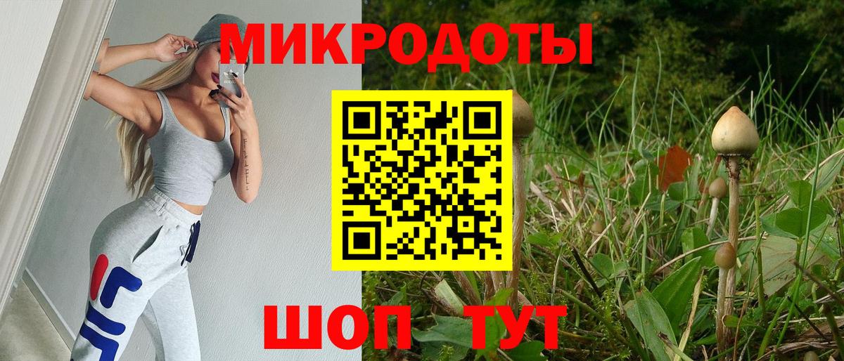 Сафоново  Псилоцибиновые грибы Psilocybine cubensis  Вход с VPN  Псилоцибиновые грибы мицелий 